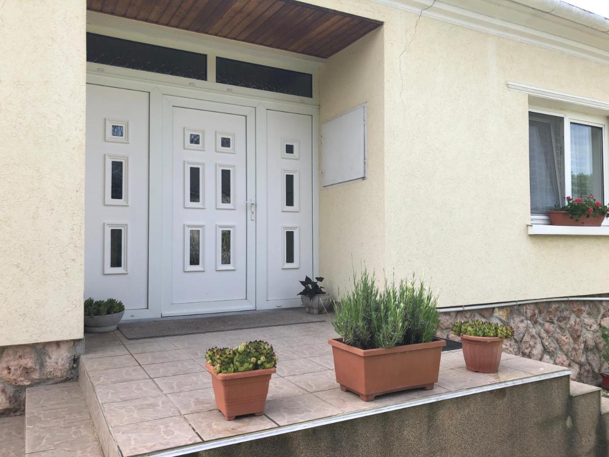 Apartament Elvira Vendeghaz Kisbodak Zewnętrze zdjęcie