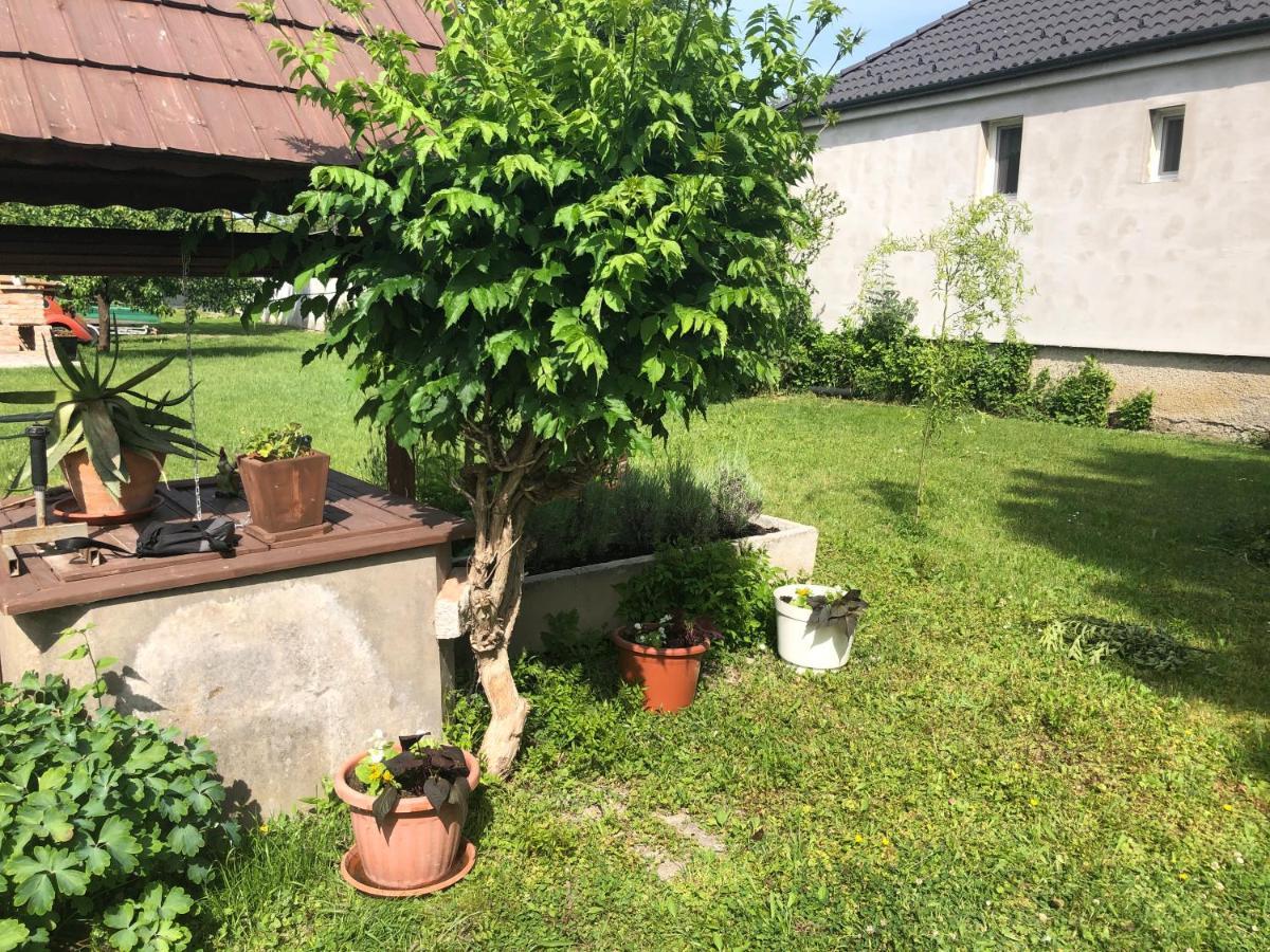 Apartament Elvira Vendeghaz Kisbodak Zewnętrze zdjęcie
