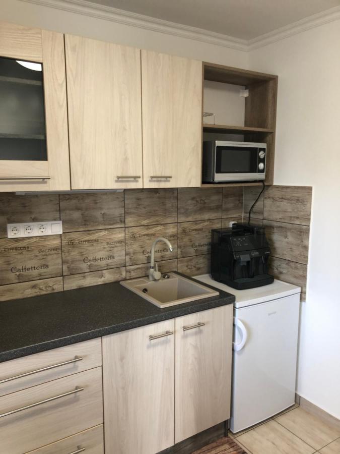 Apartament Elvira Vendeghaz Kisbodak Zewnętrze zdjęcie