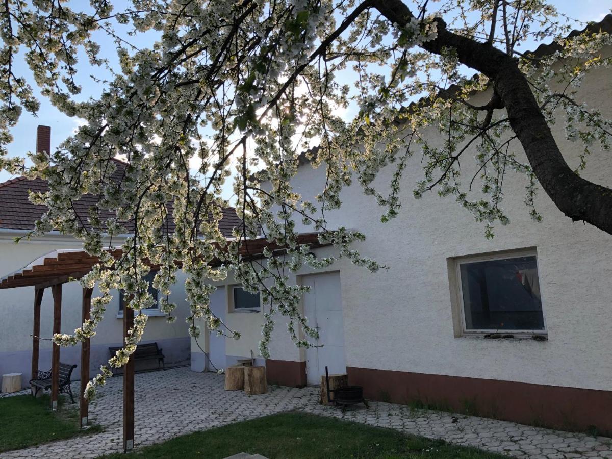 Apartament Elvira Vendeghaz Kisbodak Zewnętrze zdjęcie