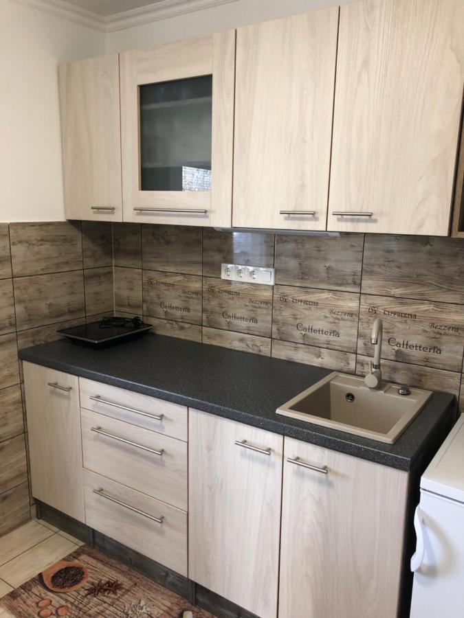 Apartament Elvira Vendeghaz Kisbodak Zewnętrze zdjęcie
