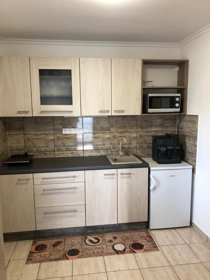 Apartament Elvira Vendeghaz Kisbodak Zewnętrze zdjęcie